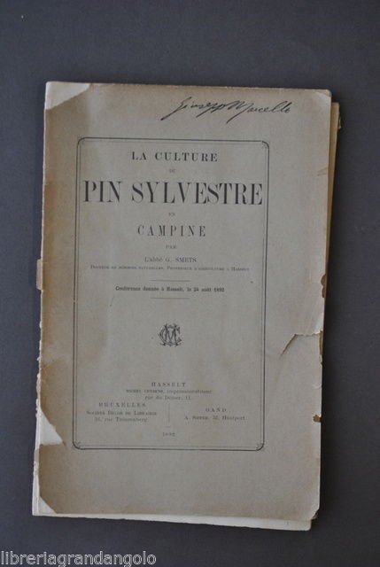 Botanica Agricoltura Smets Coltivazione Pino Silvestre Campine Hasselt 1892 | Immagine principale