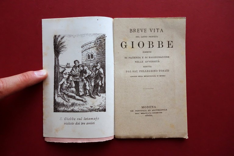 Breve Vita del Santo Profeta Giobbe Tip. Immacolata Concezione Modena … | Immagine Gallery 2