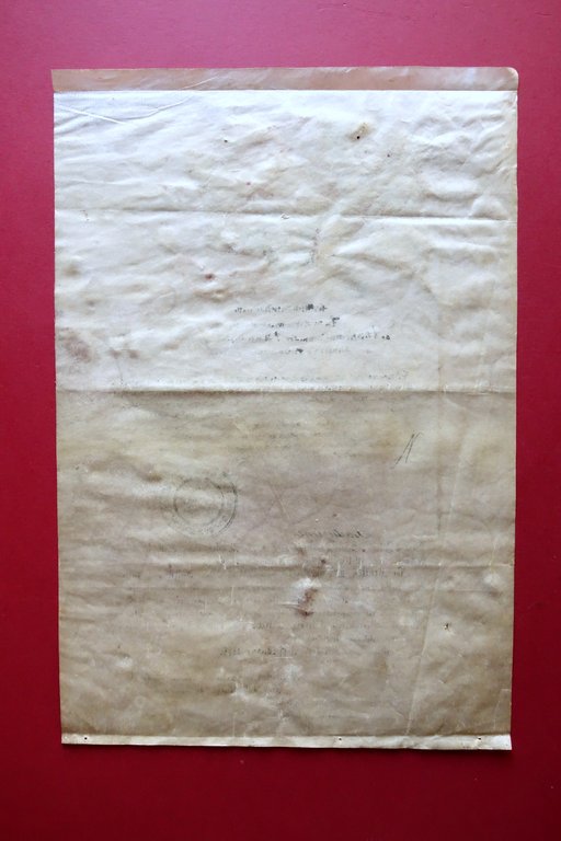 Brevetto su Pergamena Menelik II Takaitu Regno di Scioa Entotto … | Immagine Gallery 4