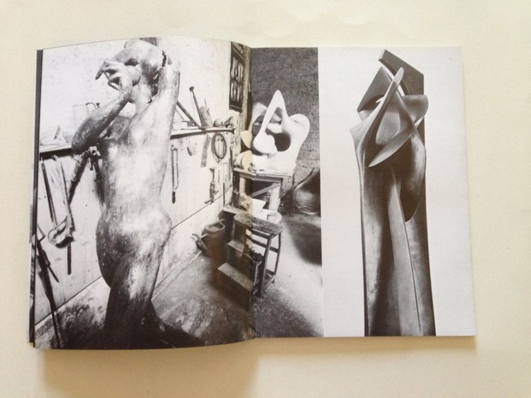 Bruno Liberatore testi di E. Crispolti F. Farina Rotundo Editore …