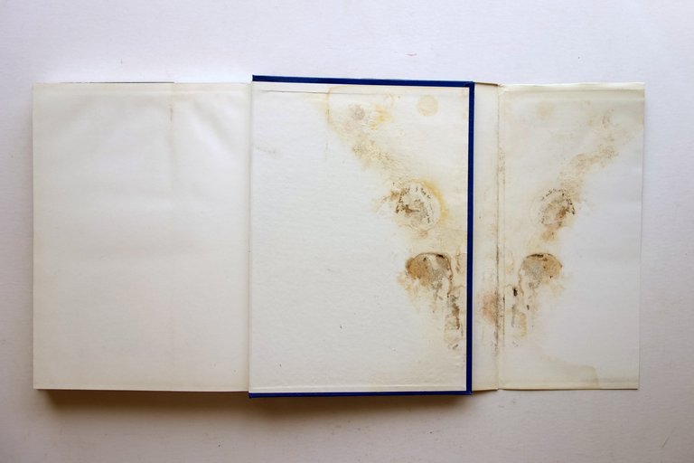 Buscaglia e gli Aerosiluranti Orazio Giuffrida Stato Maggiore Aeronautica 1998