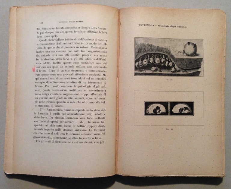 Buytendjik Psicologia Degli Animali Casa Editrice Remo Sandron Palermo 1929