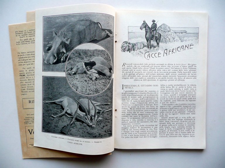 Cacce Africane Solimena Il Secolo XX Milano Luglio 1909 Nomellini …