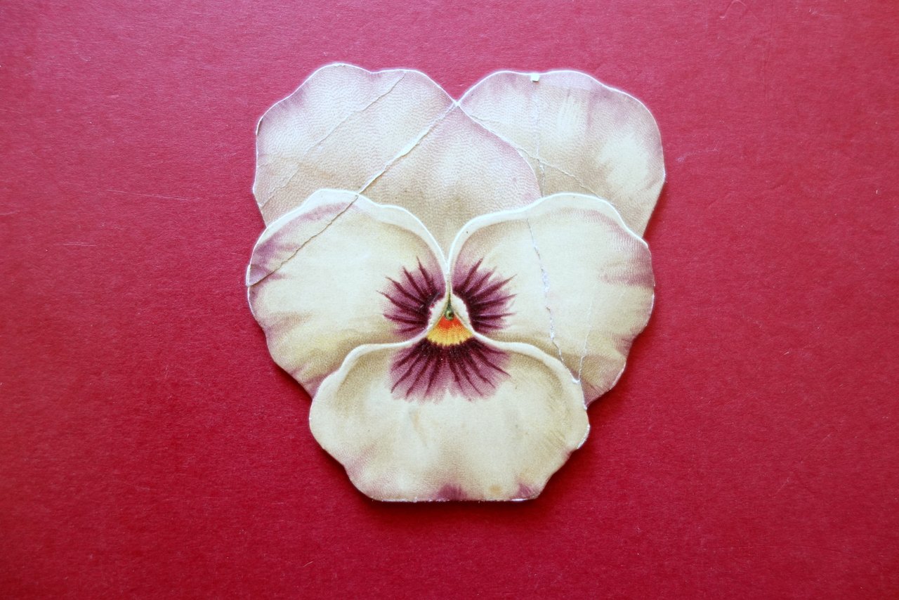 Calendarietto Talmone Torino 1907 Gianduia Cacao Cioccolato Pubblicit‡ | Immagine principale