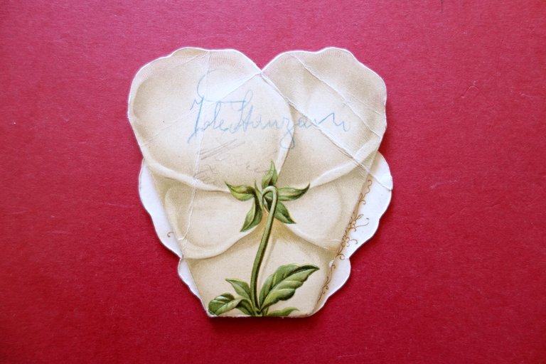 Calendarietto Talmone Torino 1907 Gianduia Cacao Cioccolato Pubblicit‡ | Immagine Gallery 2