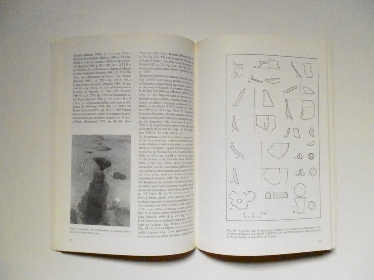 Calzolari Giordani Archeologia A Mirandola E Nella Bassa Modenese 1990 | Immagine Gallery 2