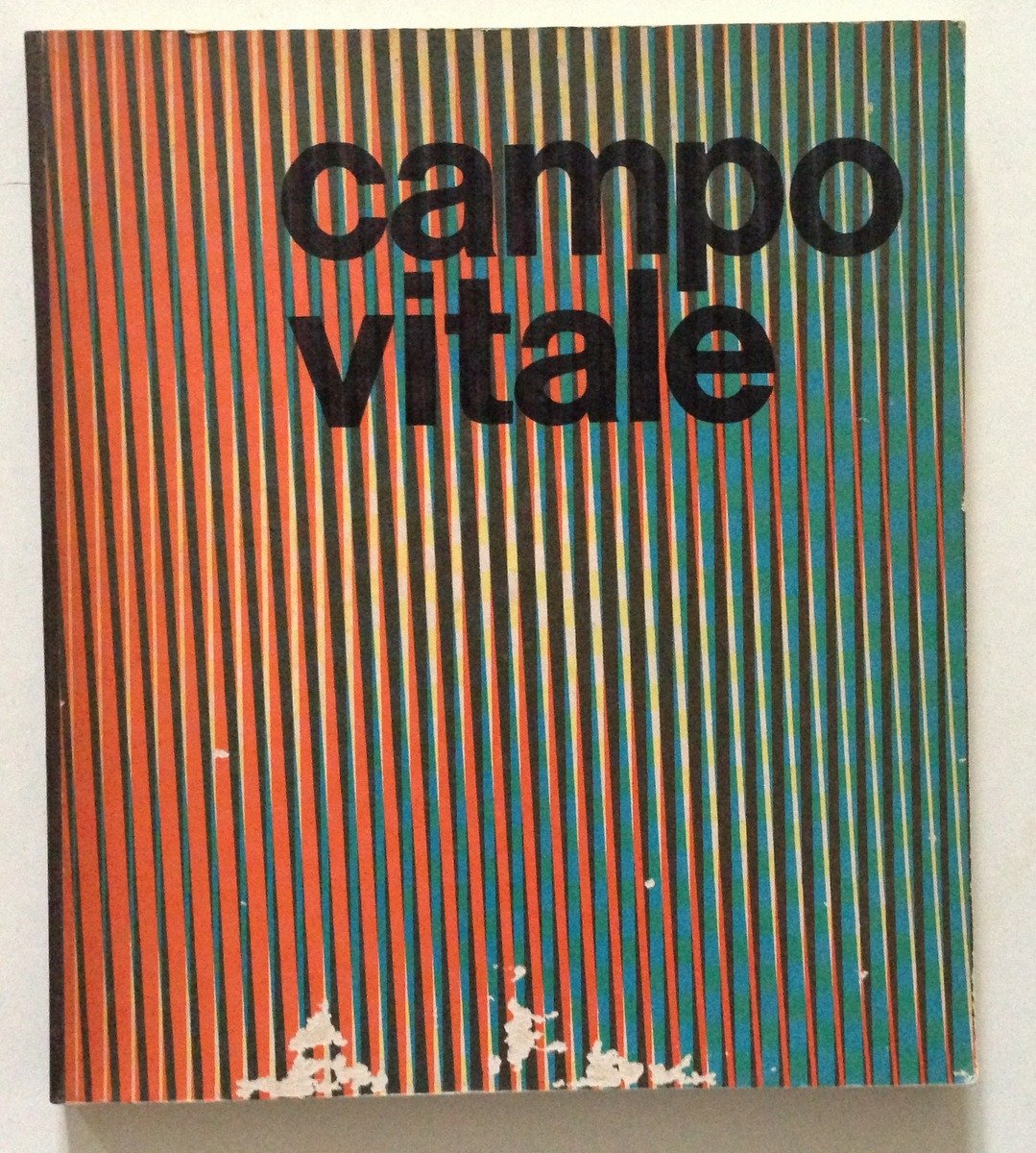 Campo Vitale Mostra Internazionale Arte Contemporanea Palazzo Grassi Venezia