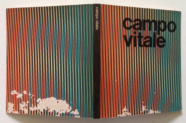 Campo Vitale Mostra Internazionale Arte Contemporanea Palazzo Grassi Venezia