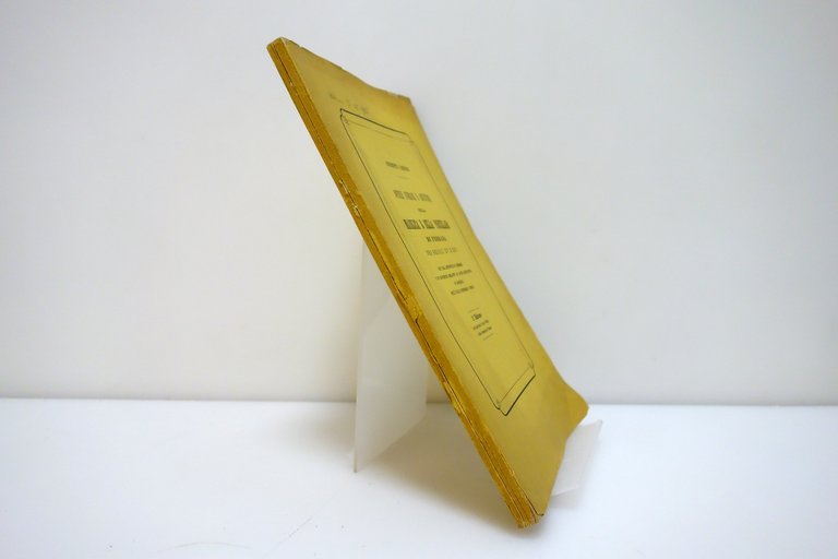 Campori Notizie Storiche Artistiche della Maiolica e Porcellana di Ferrara … | Immagine Gallery 3