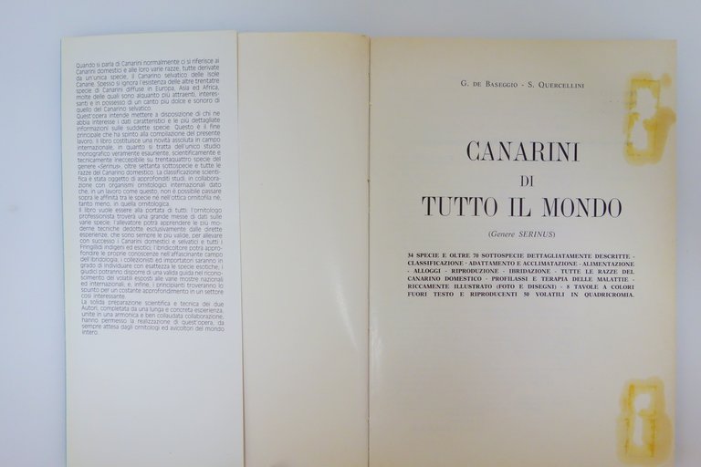 CANARINI DI TUTTO IL MONDO GENERE SERINUS BASEGGIO QUERCELLINI FIRMATO … | Immagine Gallery 2