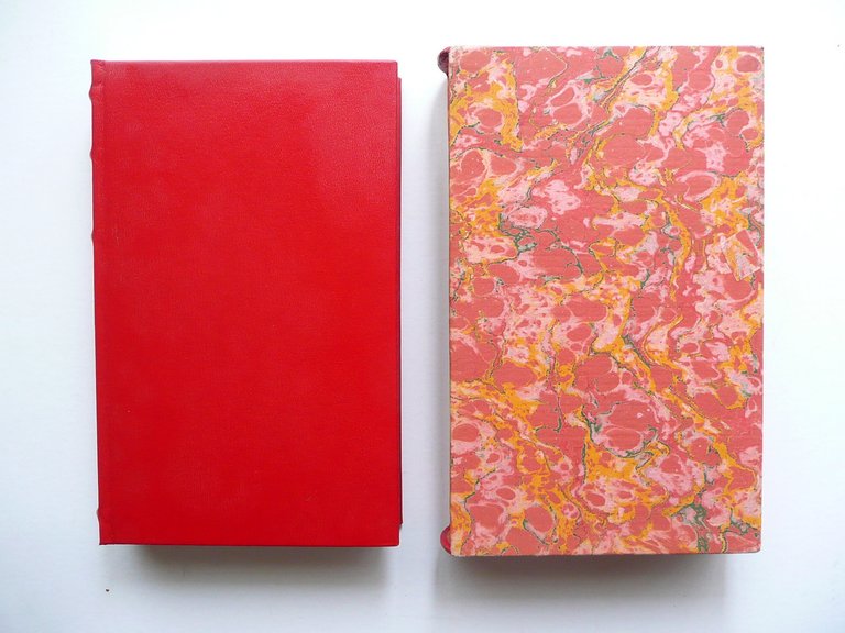 Carlo Coccioli Davide Rusconi 1976 Ex Libris Piero Chiara 300 Copie Legatura