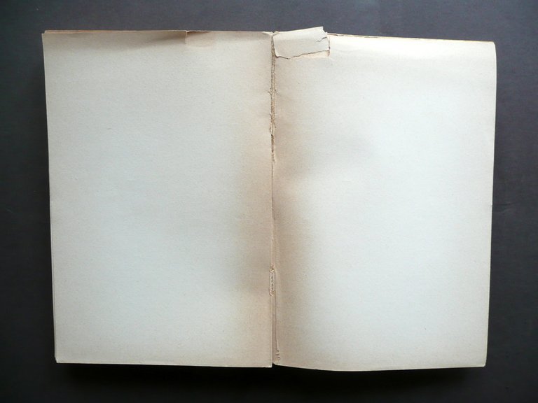 Carlo Emilio Gadda Giornale di Guerra e di Prigionia Sansoni …