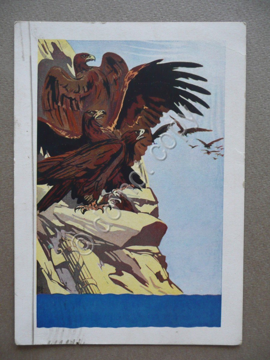 Cartolina Arma Aeronautica Ci Vogliono Ali Molte Ali Viaggiata 1940