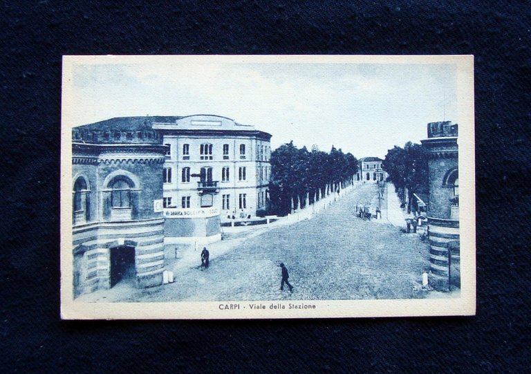 Cartolina Carpi Viale della Stazione 1942 Pini Modena