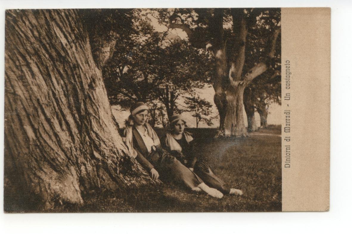 Cartolina Dintorni di Marradi Un Castagneto 1921 viaggiata Firenze | Immagine principale
