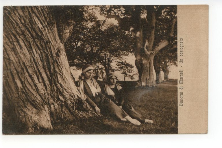 Cartolina Dintorni di Marradi Un Castagneto 1921 viaggiata Firenze | Immagine Gallery 1