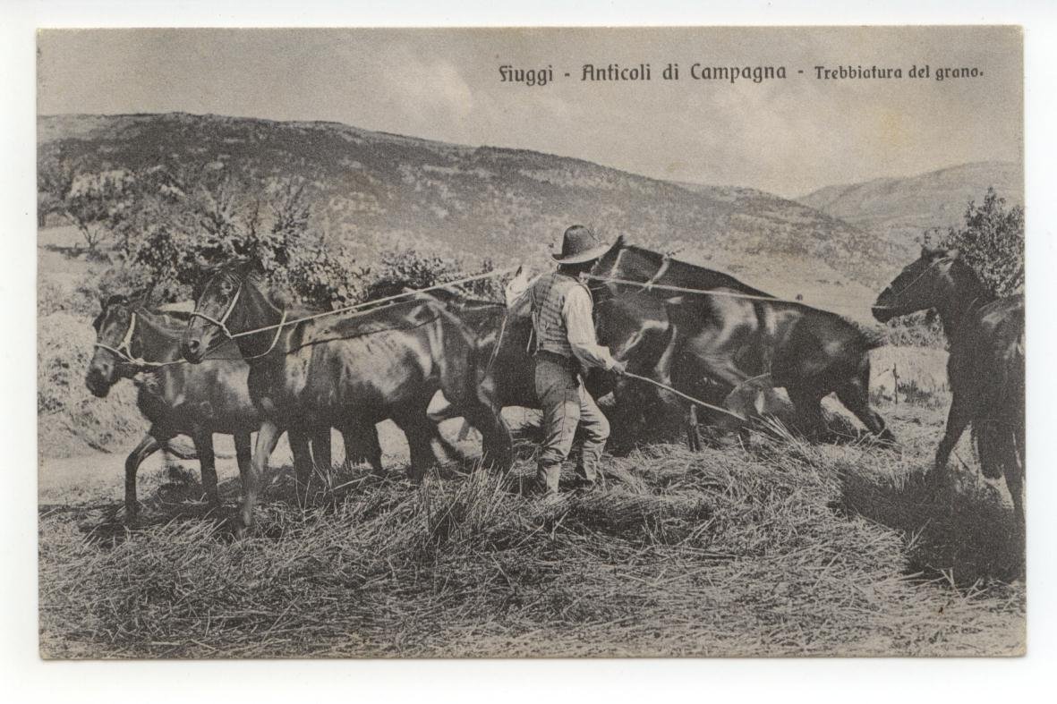 Cartolina Fiuggi Anticoli di Campagna Trebbiatura 1909 viaggiata Frosinone