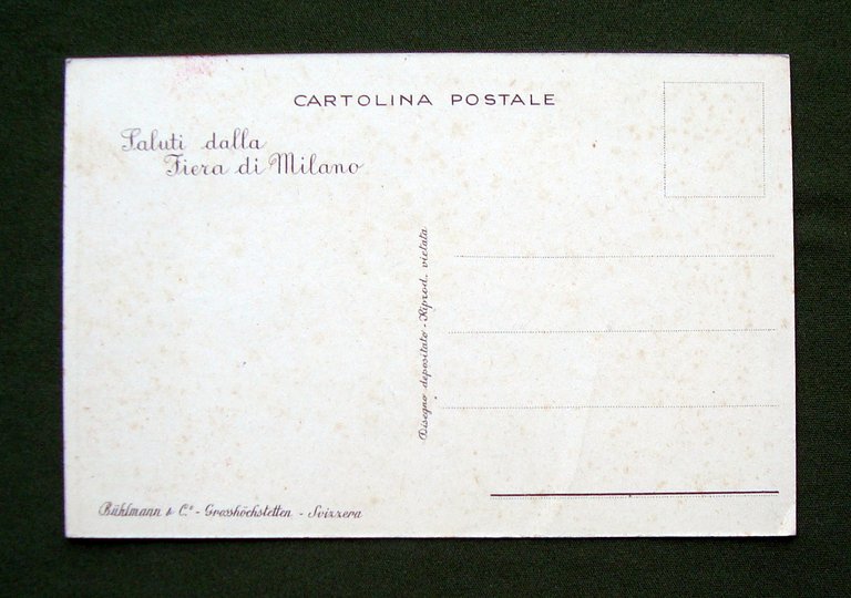 Cartolina Formaggio Camoscio Fiera di Milano non viaggiata