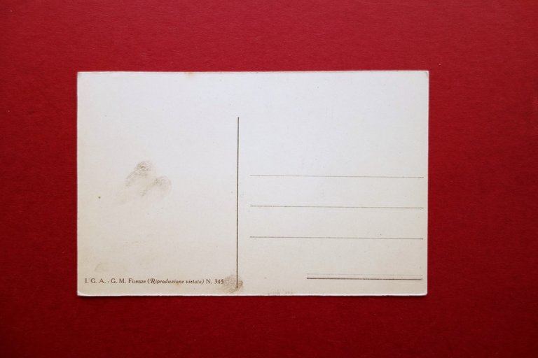 Cartolina i Tedeschi Svolgono il Programma Futurista Manifesto Non Viaggiata