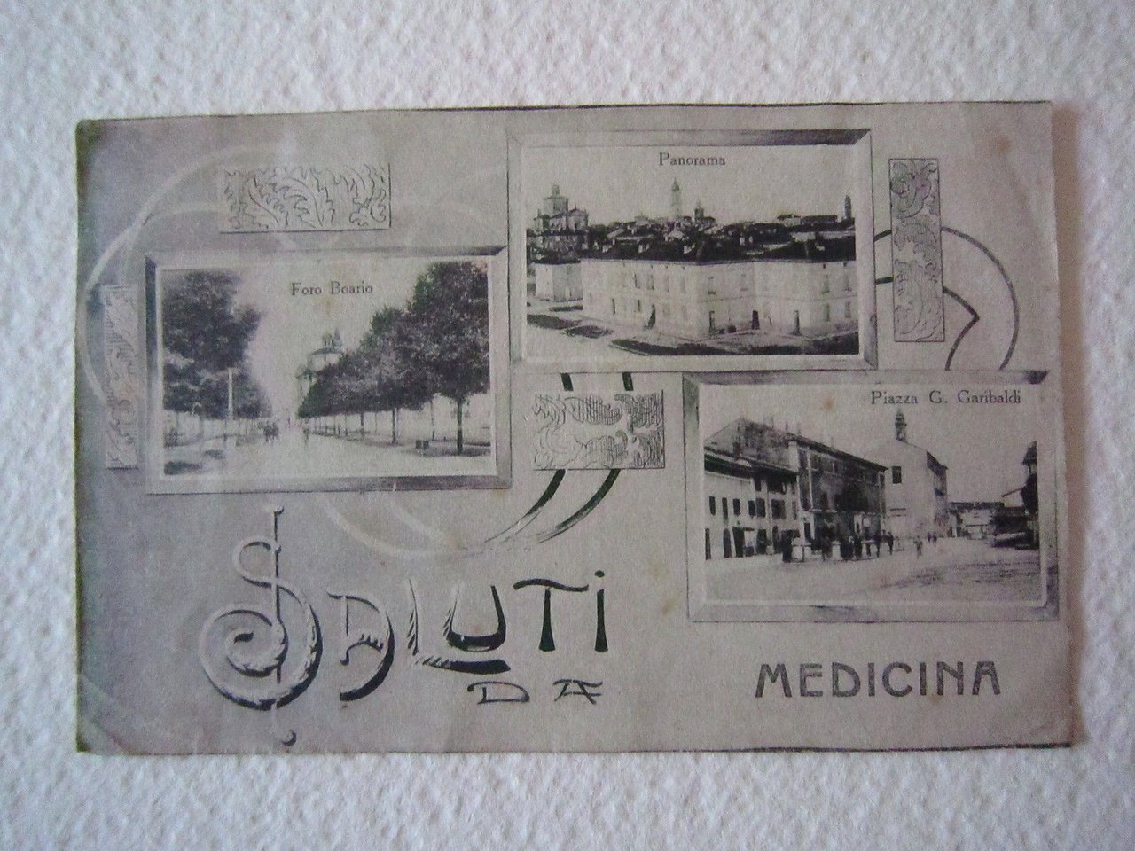 Cartolina Locale 1919 Emilia Romagna Bologna Medicina Panorama Foro Boario