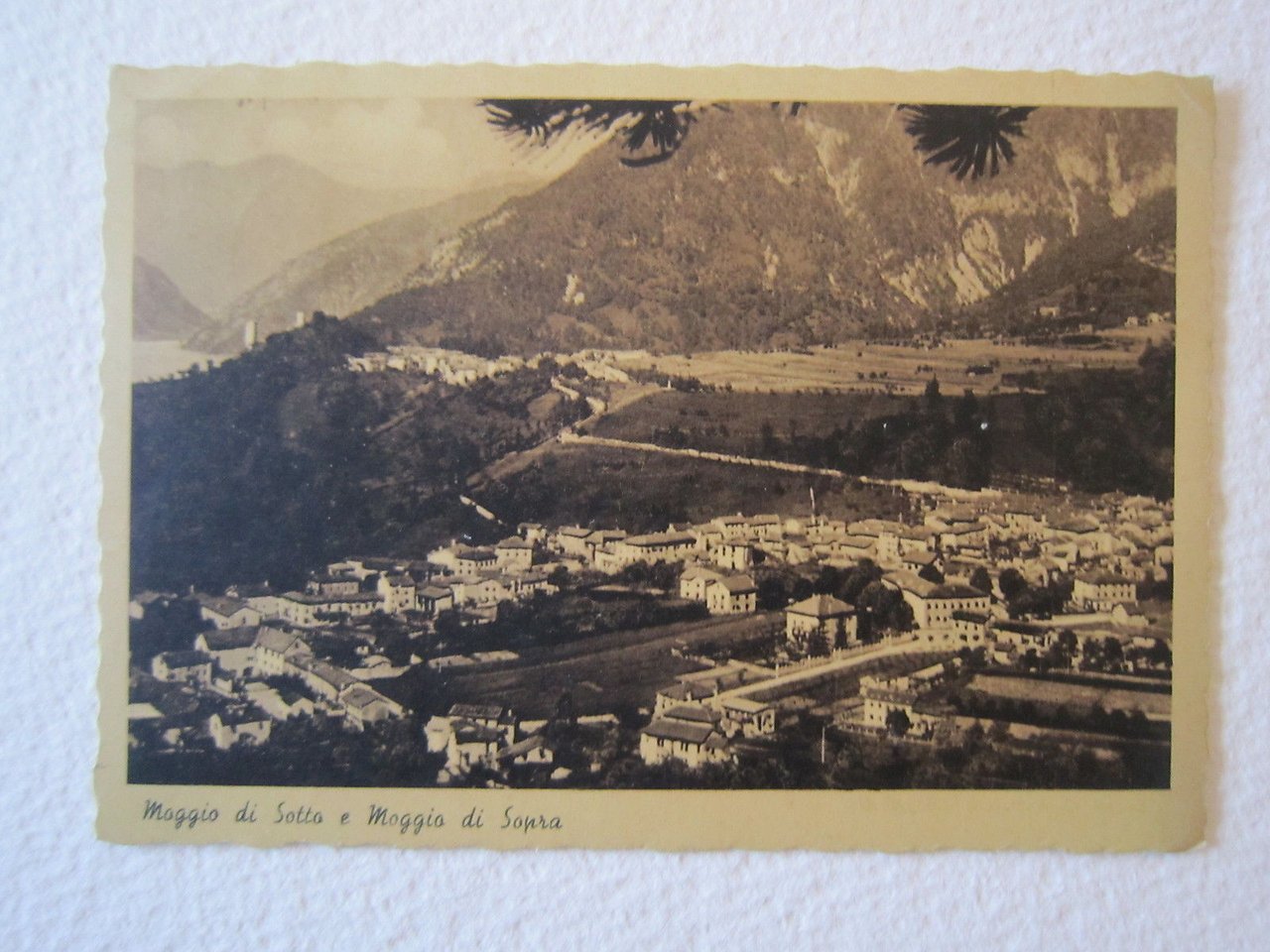 Cartolina Locale 1948 Moggio Udinese Udine Friuli Venezia Giulia Di …