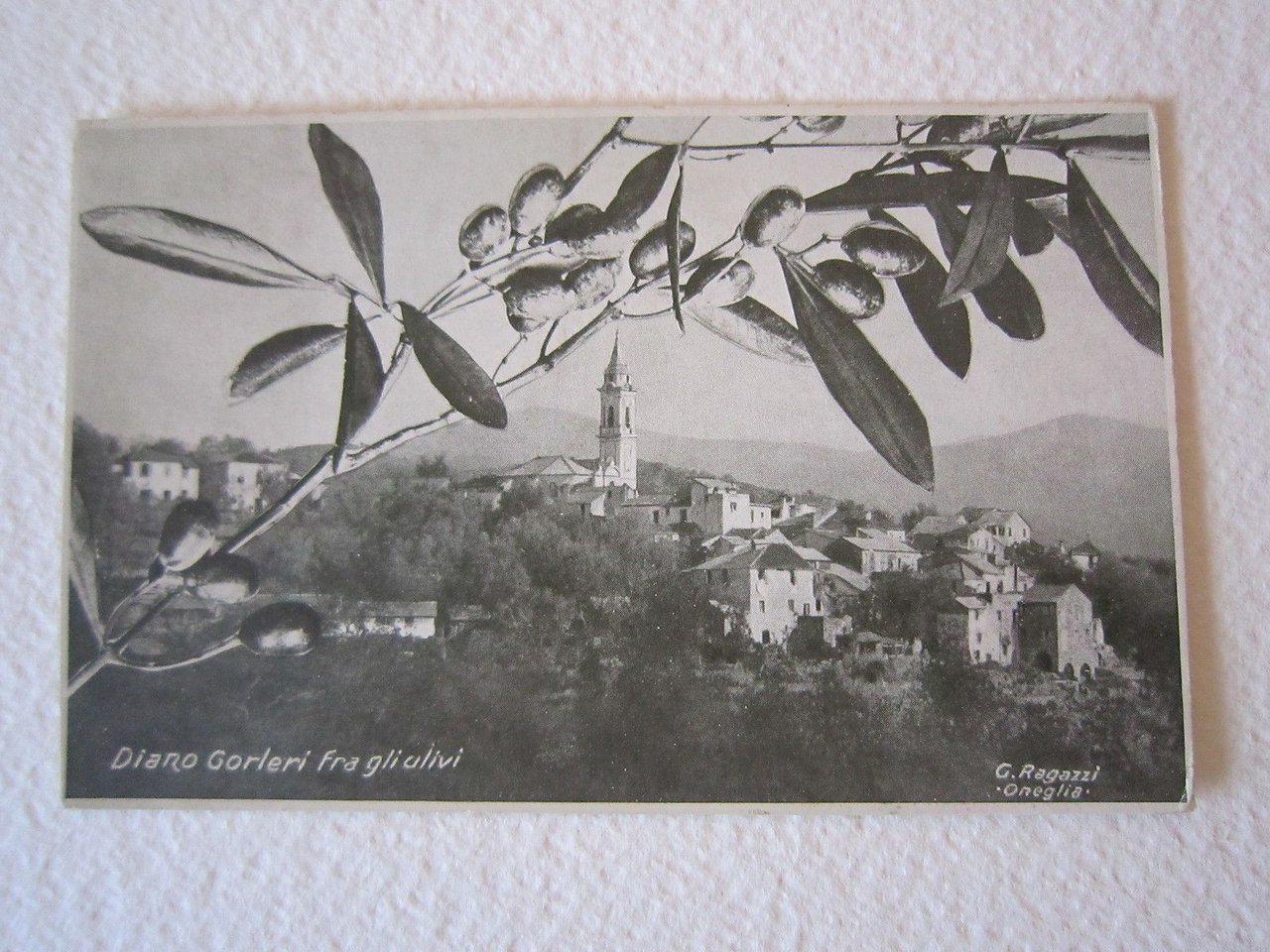 Cartolina Locale circa anni '40 Liguria Imperia Diano Gorleri Ulivi …
