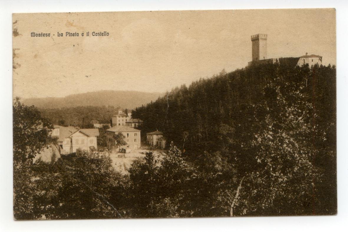 Cartolina Montese La Pineta e il Castello viaggiata 1922