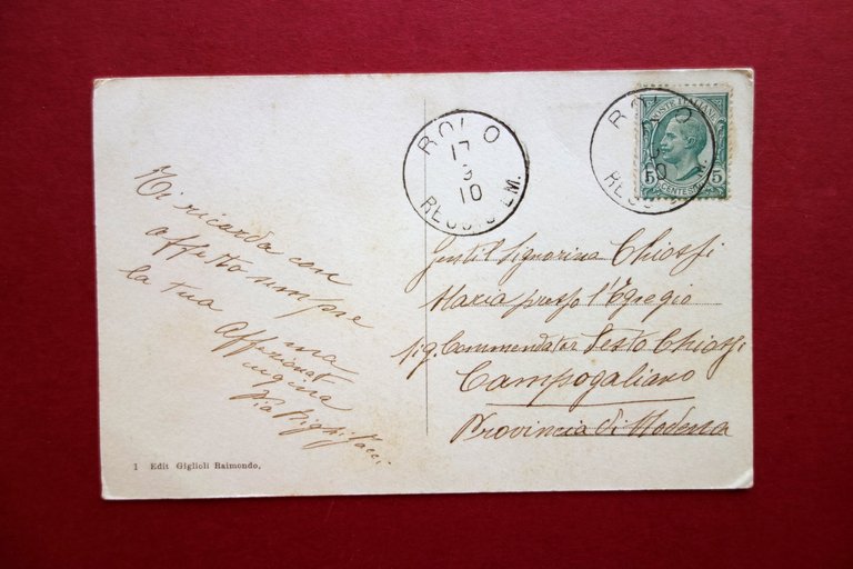 Cartolina Novi di Modena Panorama Veduta Animata Viaggiata 1910