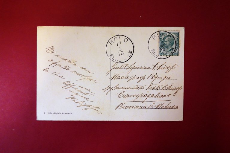 Cartolina Novi di Modena Panorama Veduta Animata Viaggiata 1910