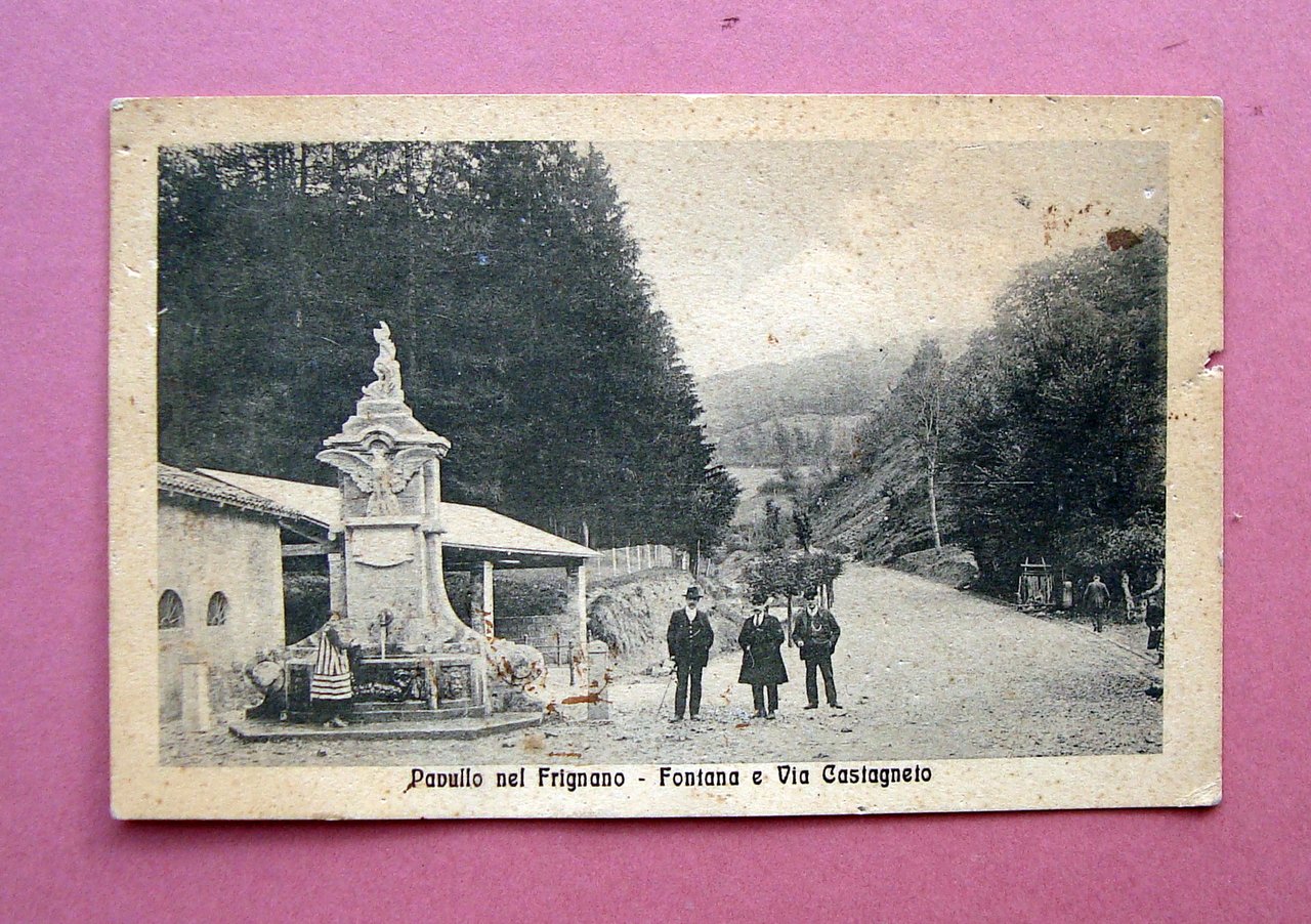 Cartolina originale Pavullo nel Frignano Fontana Castagneto 1913 Viaggiata