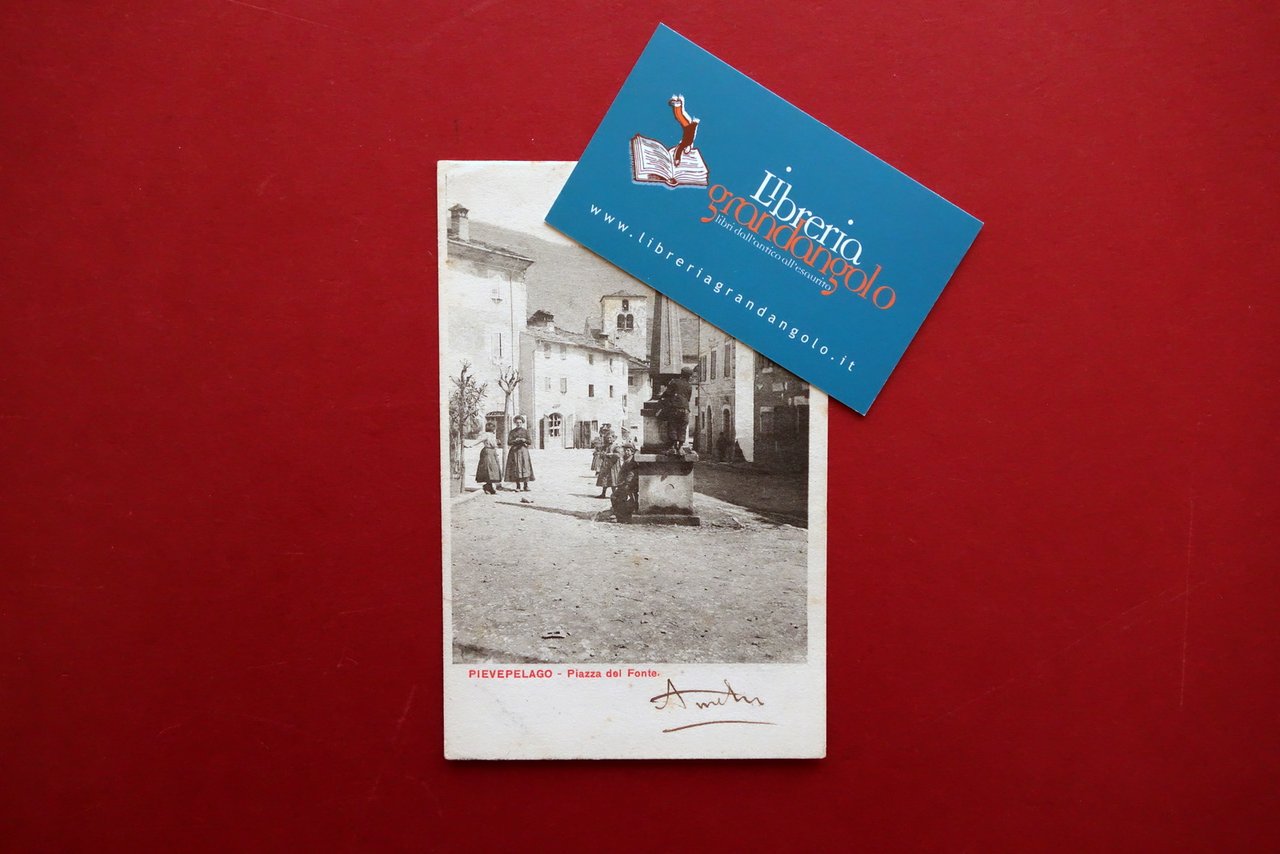 Cartolina Pievepelago Piazza del Fonte Viaggiata Animata 1906 Modena