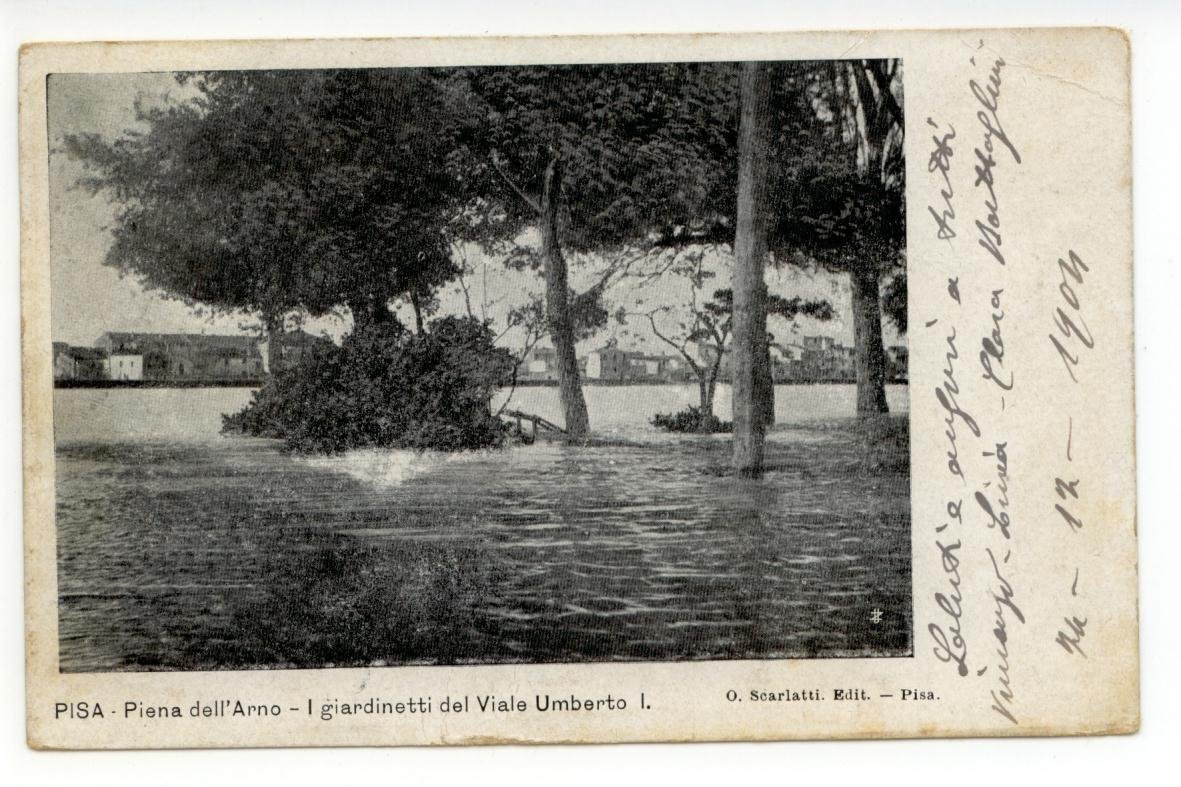 Cartolina Pisa Piena dell'Arno I Giardinetti del Viale Umberto I …