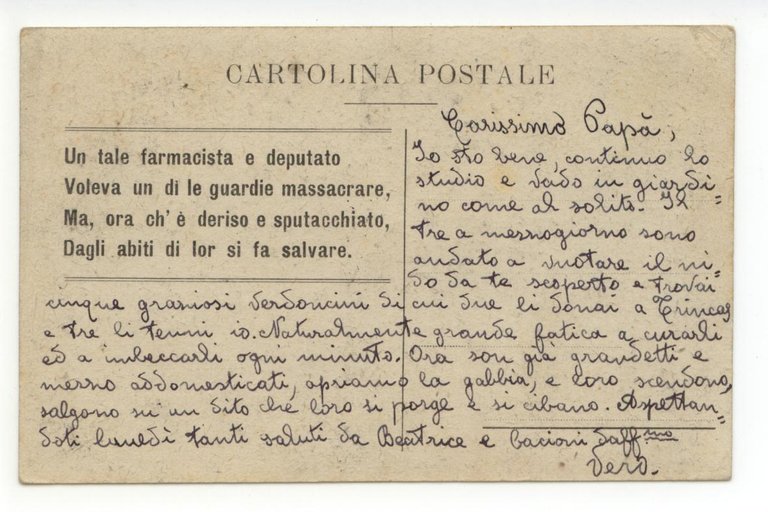 Cartolina Poggio Rusco Farmacista viaggiata in busta politica