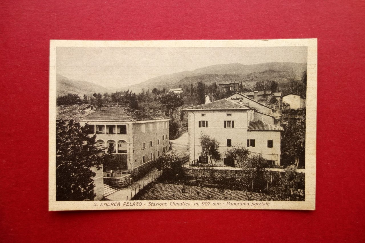 Cartolina Sant'Andrea Pelago Stazione Climatica Panorama Non Viaggiata 1943