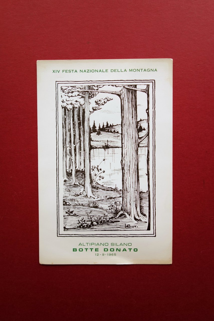 Cartolina XIV∞ Festa Nazionale della Montagna Botte Donato Sila Calabria …
