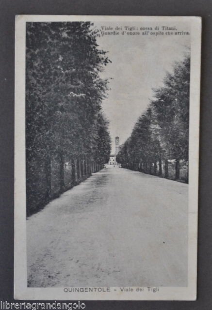 Cartoline Lombardia Mantova Quingentole Viale dei Tigli Corsa Titani Alberi 1937