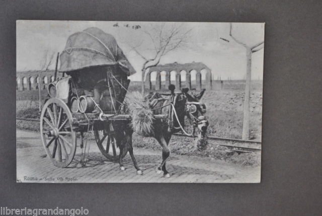 Cartoline Roma Via Appia Contadini Calesse Botti Carro Campagna Romana …