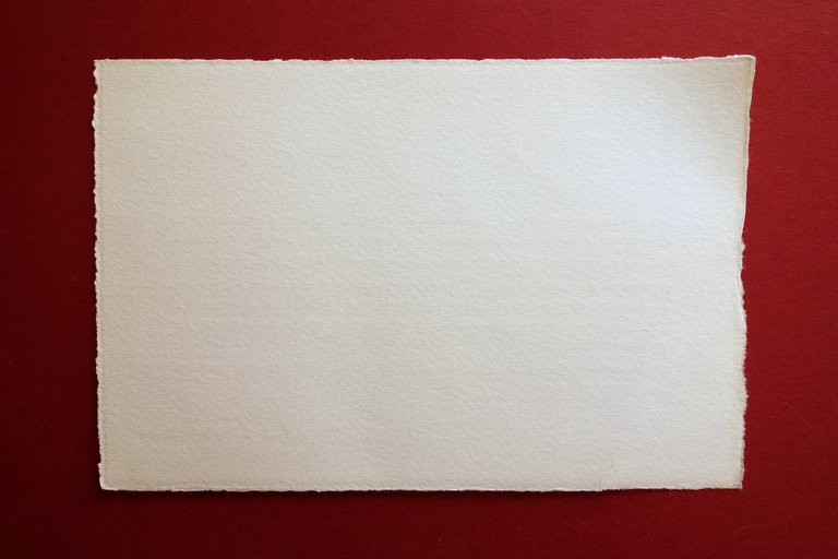 Cartoncino Apertura Negozio Ferragamo Josephine Shop Corso Cavour Bologna Gucci