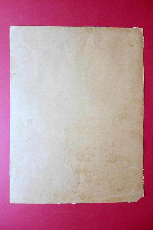 Cartoncino Scatole di Fiammiferi '800 Nudi Femminili Erotica Lavaggi Trofarello