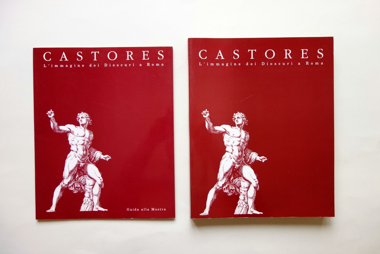 Castores l'Immagine dei Dioscuri a Roma a cura di Lelia …