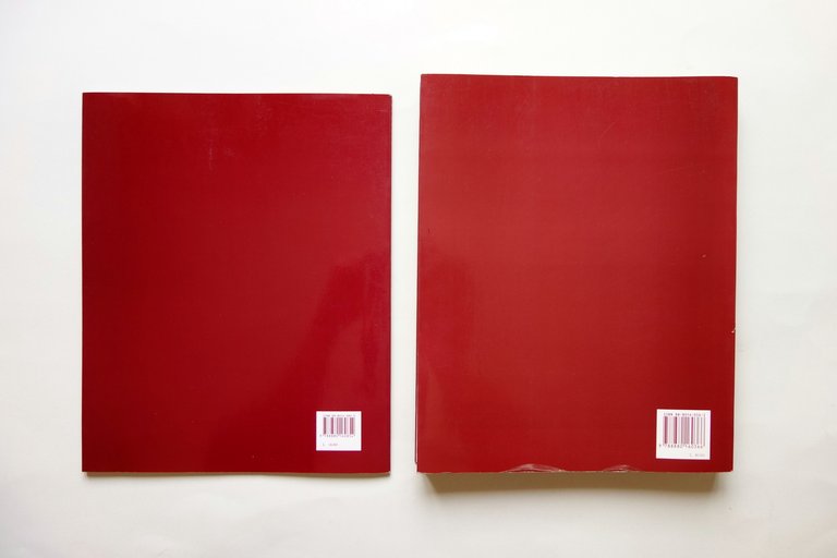 Castores l'Immagine dei Dioscuri a Roma a cura di Lelia …