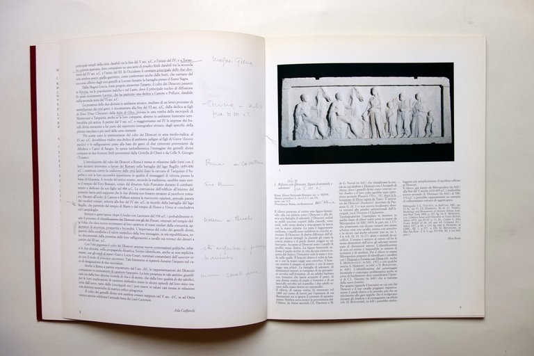 Castores l'Immagine dei Dioscuri a Roma a cura di Lelia …