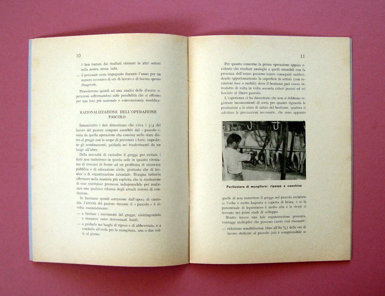 Casu Problemi attuali possibilit‡ future allevamento ovino Sardegna 1964 Sassari