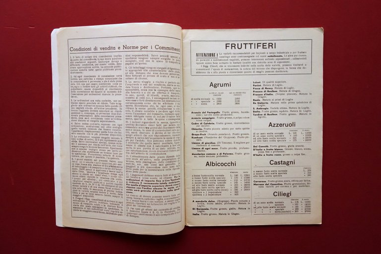 Catalogo Benassi Orticoltori San Giovanni Persiceto 1957 Vivai Piante Bulbi | Immagine Gallery 5