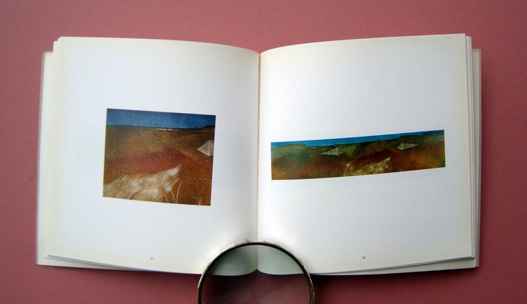 Catalogo Carlo Bertè La Sensibilità del visibile 1990 Arte Galleria … | Immagine Gallery 2