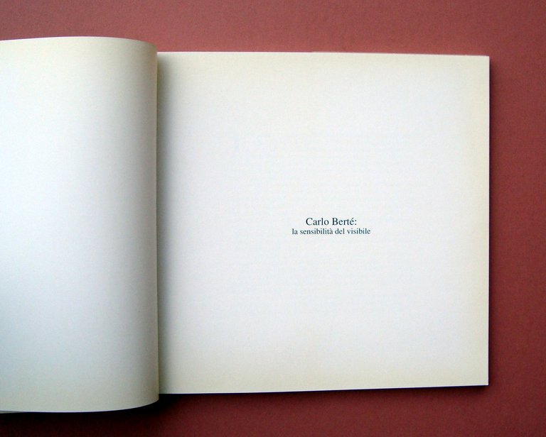 Catalogo Carlo Bertè La Sensibilità del visibile 1990 Arte Galleria … | Immagine Gallery 4