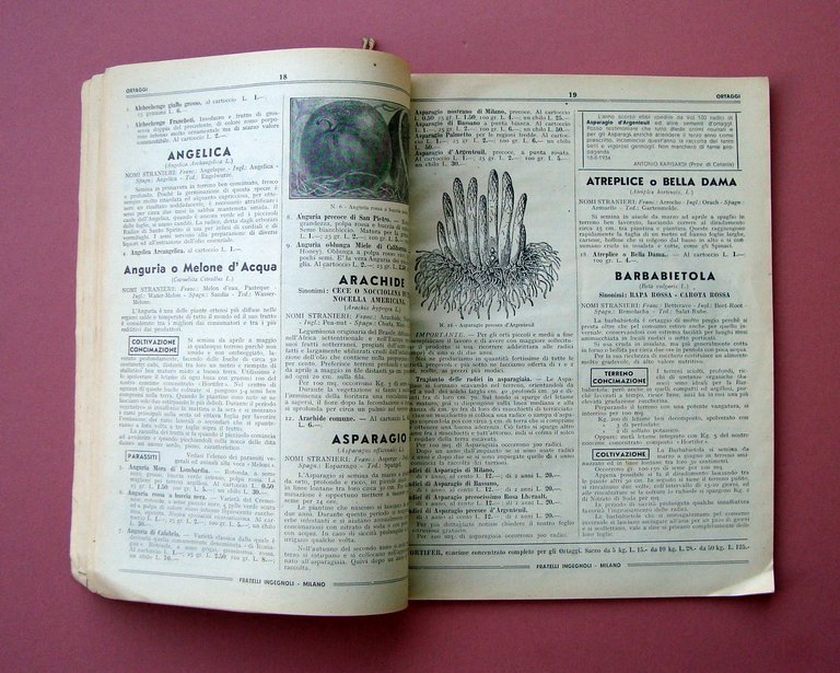 Catalogo Fratelli Ingegnoli Milano 15 Gennaio 1935 Piante Ortaggi