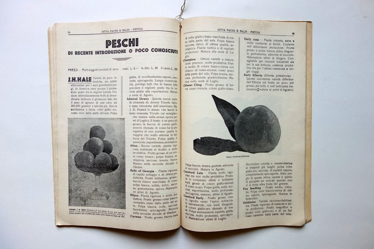 Catalogo Generale Pacini & Baldi Pistoia Viticoltura Orticoltura 1930-31