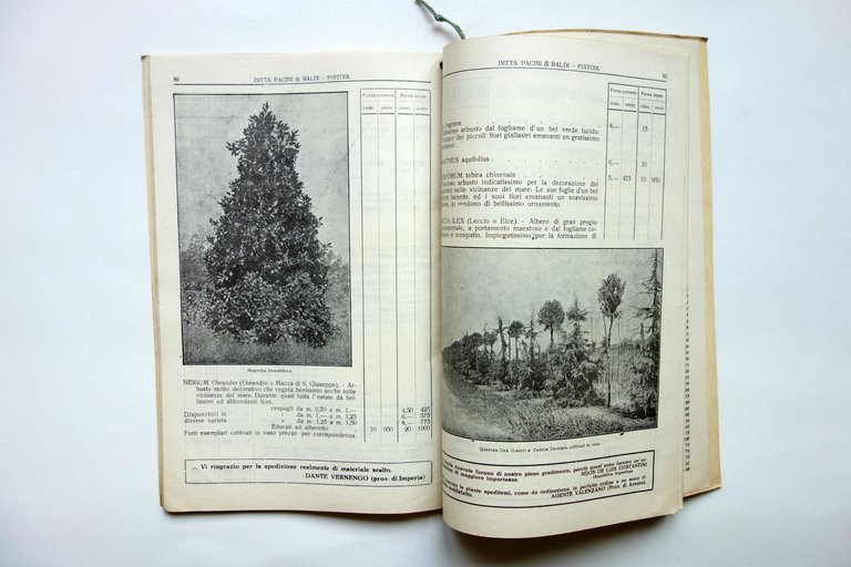 Catalogo Generale Pacini & Baldi Viticoltura Orticoltura Pistoia 1930-1931