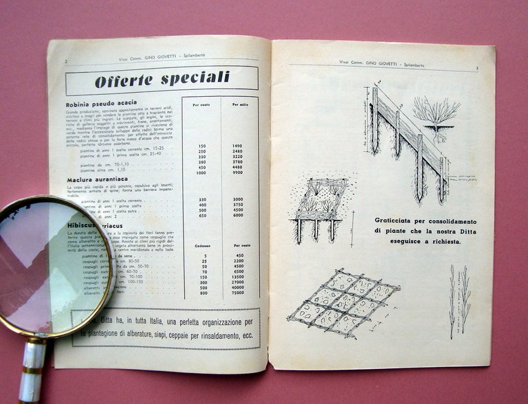 Catalogo Gino Giovetti orticoltore Autunno 1953 Spilamberto Vivai Piante Bulbi